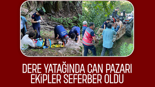 Fındıklıkta dere yatağına yuvarlandı, ekipler seferber oldu