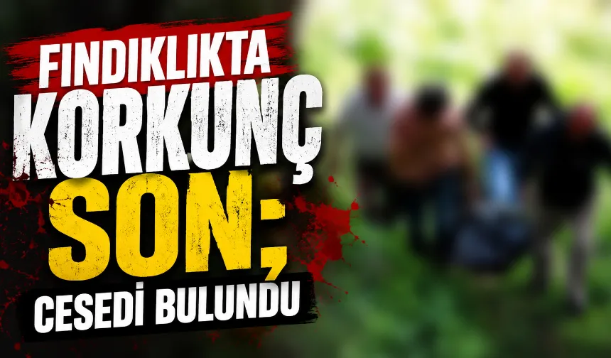 Fındıklıkta korkunç son; Cesedi bulundu