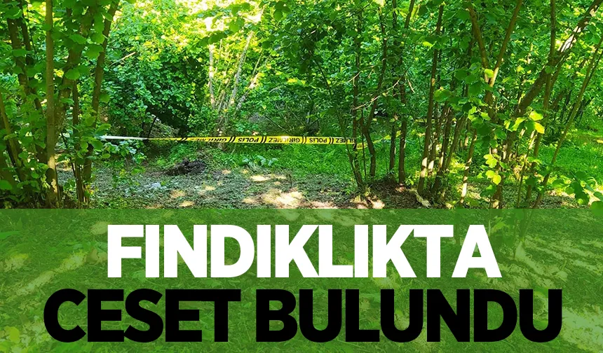 Fındıklıkta ölüm; Cesedi bulundu