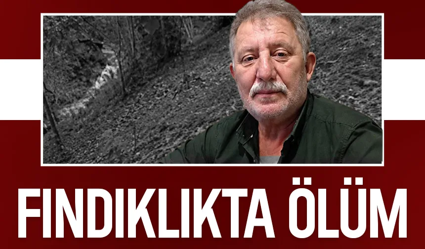 Fındıklıkta uçuruma düşüp hayatını kaybetti