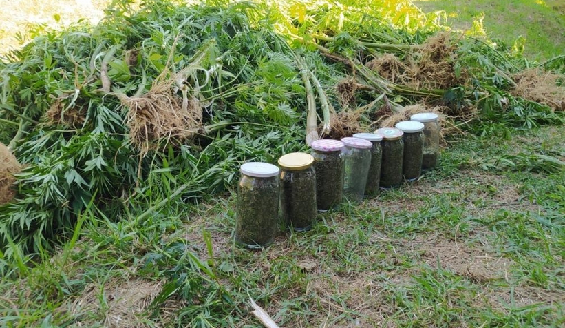 Fındıklıkta uyuşturucu operasyonu