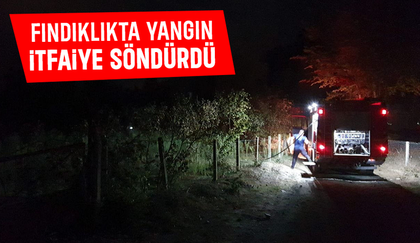 Fındıklıkta yakılan ateş yangına sebep oldu
