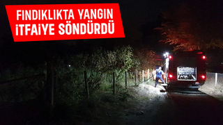 Fındıklıkta yakılan ateş yangına sebep oldu