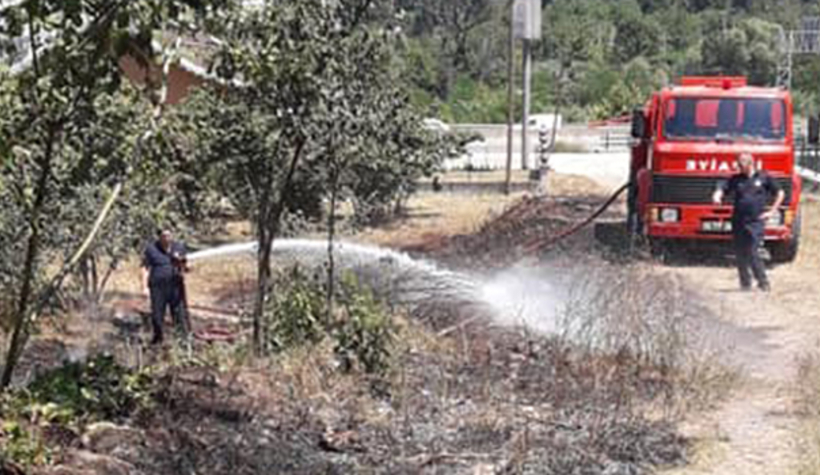 Fındıklıkta yangın