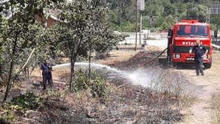 Fındıklıkta yangın