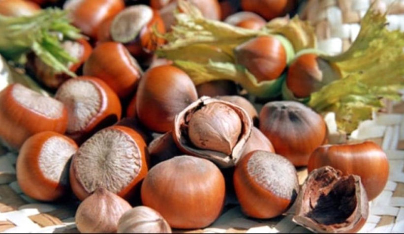 Fındıkta beklenti 30 bin liraydı