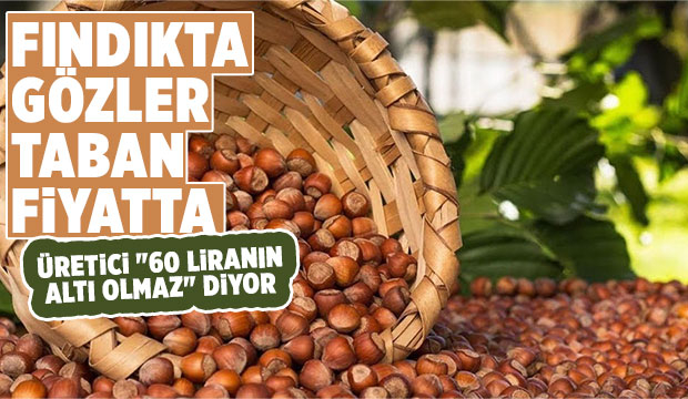 Fındıkta beklenti 60 lira üzeri...