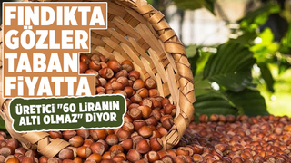 Fındıkta beklenti 60 lira üzeri...