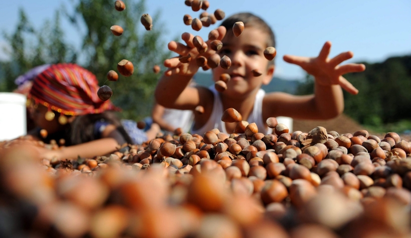 Fındıkta fiyat yükseldi açıklaması
