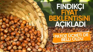 Fındıkta patoz ve yevmiye ücretleri belli oldu