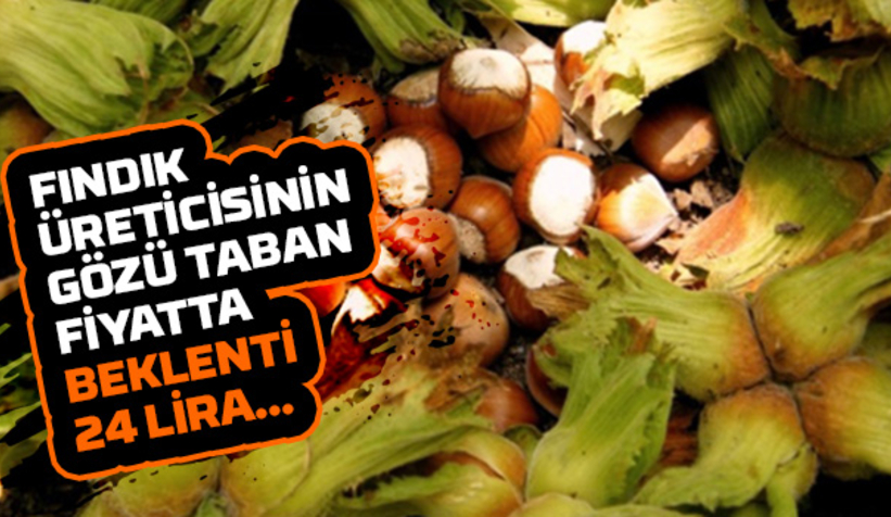 Fındıkta taban fiyat beklentisi 24 lira