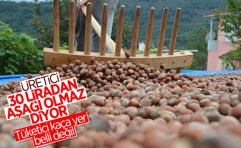 Fındıkta üreticinin taban fiyat beklentisi en az 30 lira