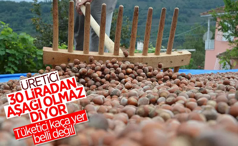 Fındıkta üreticinin taban fiyat beklentisi en az 30 lira