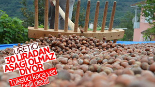 Fındıkta üreticinin taban fiyat beklentisi en az 30 lira