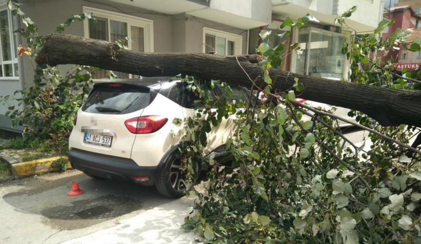 Fırtınanın devirdiği ağaç, otomobilin üzerine düştü