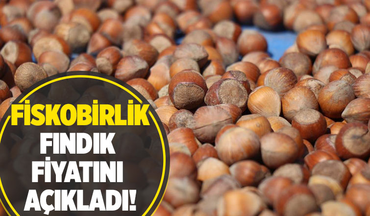 Fiskobirlik fındık alım fiyatını açıkladı