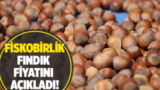 Fiskobirlik fındık alım fiyatını açıkladı