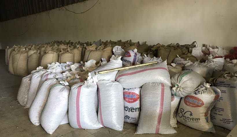 Fiskobirlik komşuda fındık alımına başladı