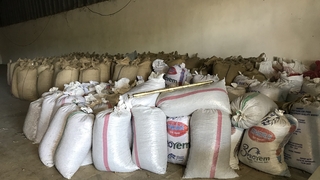 Fiskobirlik komşuda fındık alımına başladı