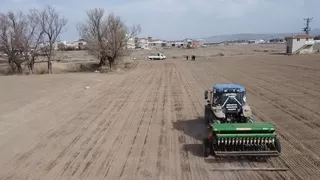 Fiyatı 20 lirayı bulunca çiftçi tarlalarına soğan ekmeye başladı
