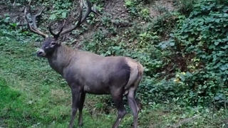 Foto kapanla görüntülendiler