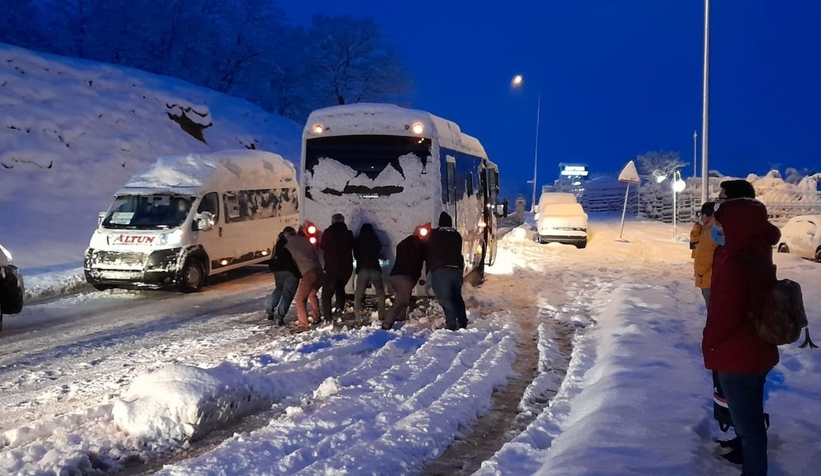 Fotoğraflar Korucuk'tan