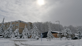 Fotoğraflar SAÜ kampüsünden