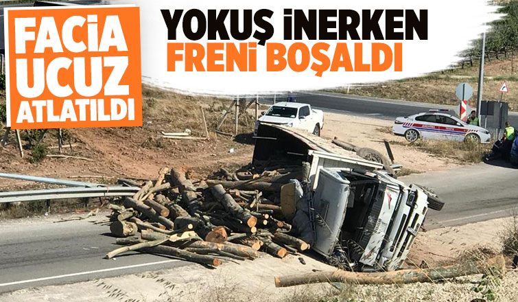 Freni boşalan tomruk yüklü kamyon devrildi