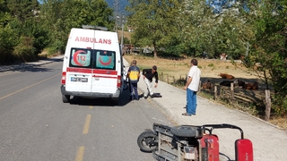 Freni tutmayıp devrildi: 2 yaralı