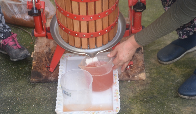 1 asırdır aynı yöntemle hurma pekmezi yapılıyor