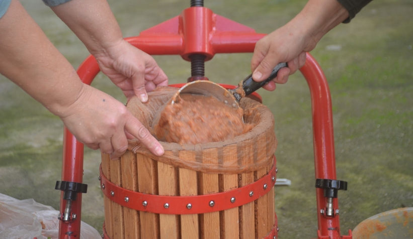 1 asırdır aynı yöntemle hurma pekmezi yapılıyor