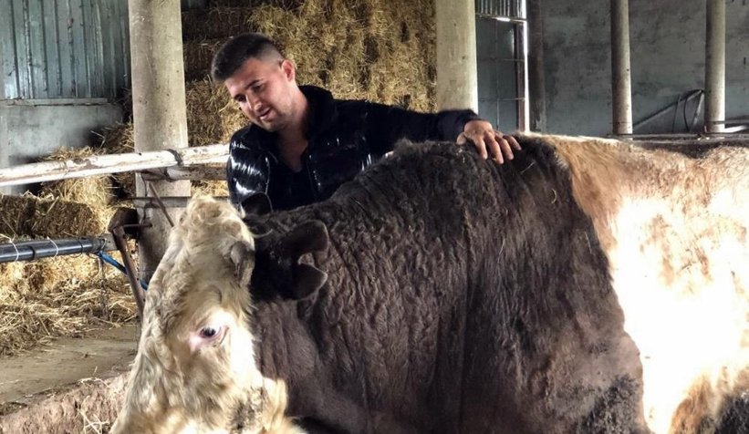 1-ton-300-kiloluk-boga-30-bin-liraya-alici-bekliyormes1zfexy1
