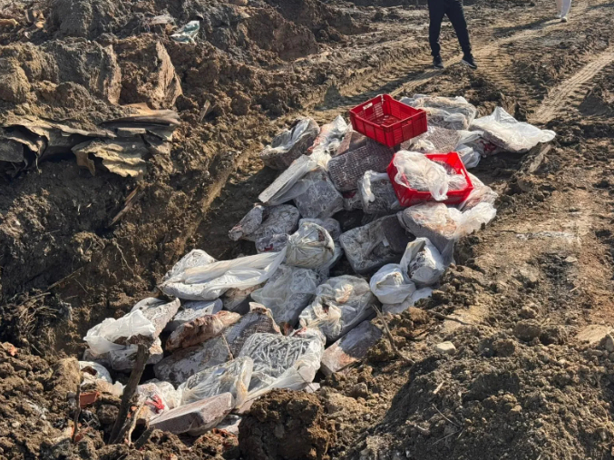 1 tona yakın etiketsiz dana ciğeri ele geçirildi