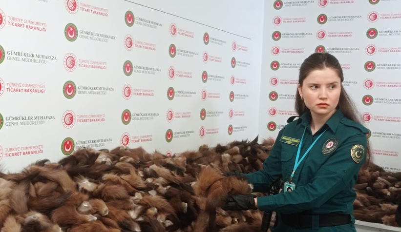 10-bin-300-adet-tilki-kuyrugu-yakalandid05sbthiog