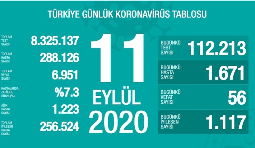 11 Eylül korona verileri