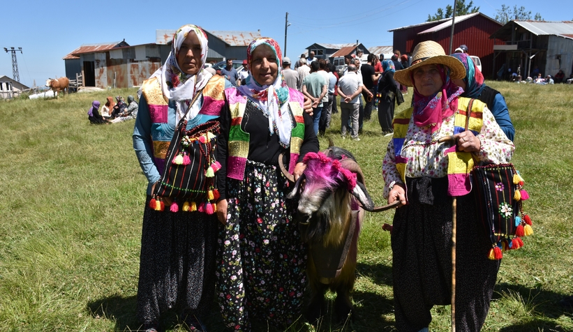 117-yillik-yayla-goubhe4vnvqse