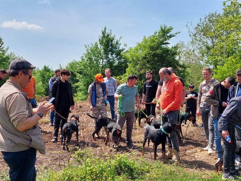 12. Fermalı Av Köpekleri Mera Yarışması