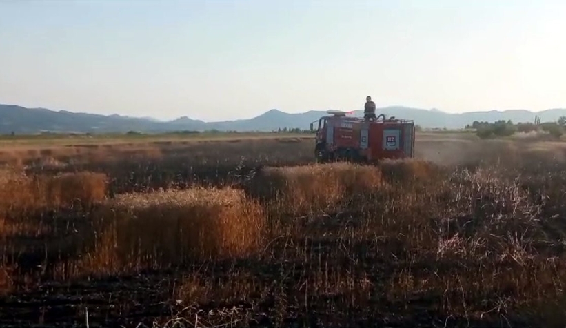 15 dönüm buğday tarlası kül oldu