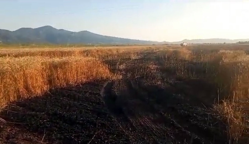15 dönüm buğday tarlası kül oldu
