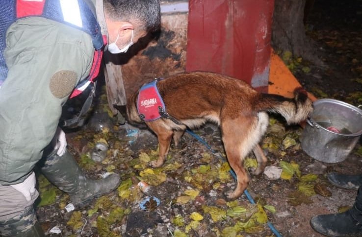 150 jandarma katıldı; Şehirde dev operasyon