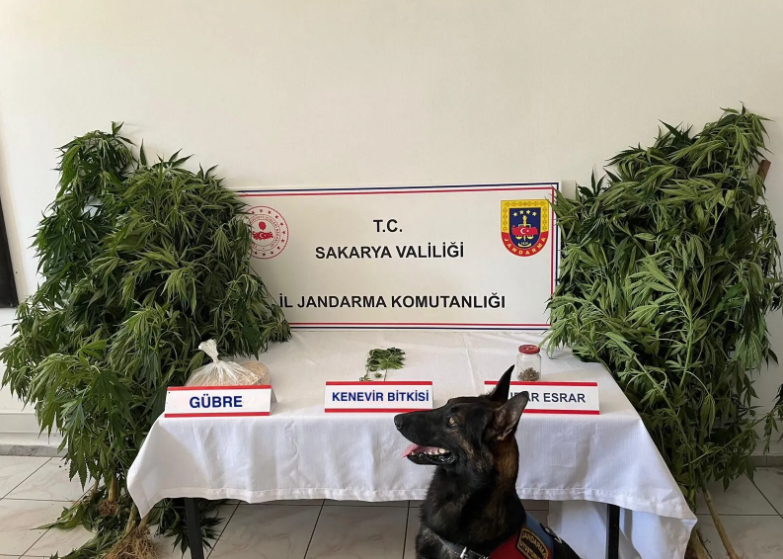 18-kilo-esrar-ele-gecirildisgw2zgq0l2