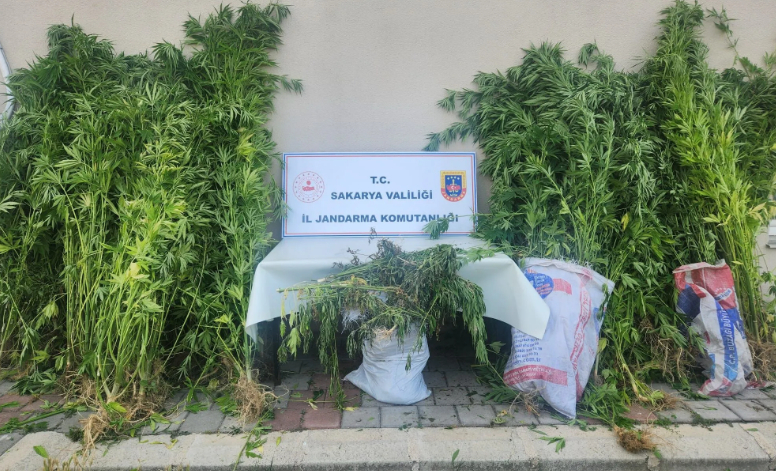 18-kilo-esrar-ele-gecirildisgw2zgq0l2