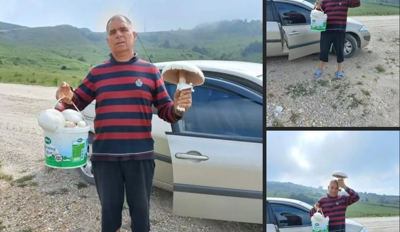 2 kiloluk kuzugöbeği mantarı buldu