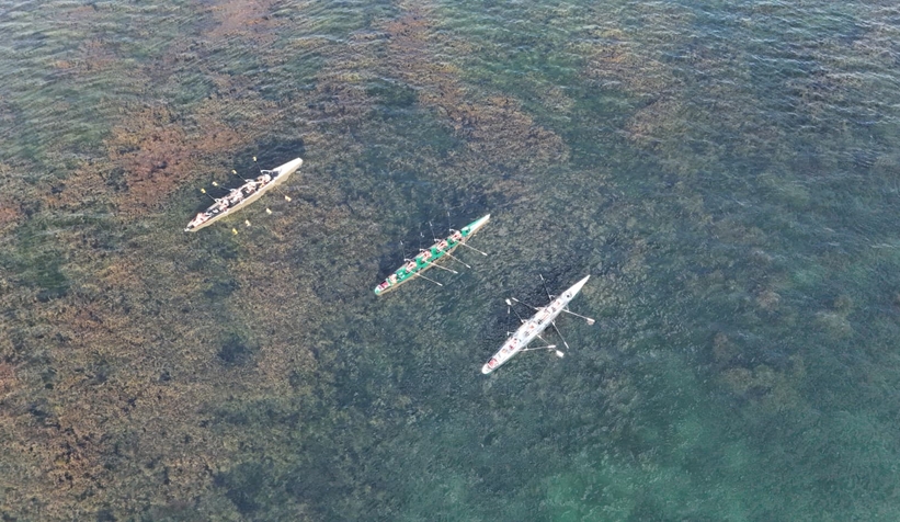 2-serdivan-kurek-kupasi-tamamlandimitkck5jz3