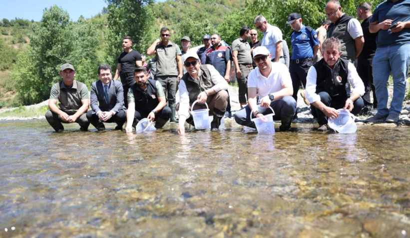 20 bin kırmızı benekli alabalık derelere bırakıldı
