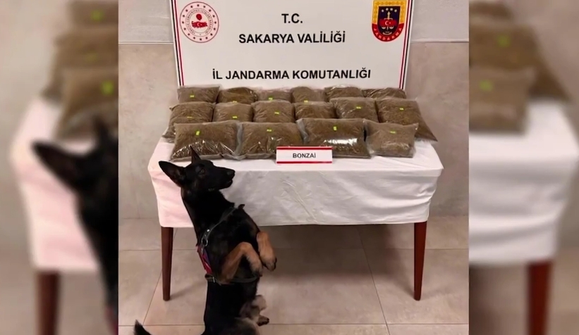 21-kilogram-bonzai-ele-gecirilditm1oa0d5a0