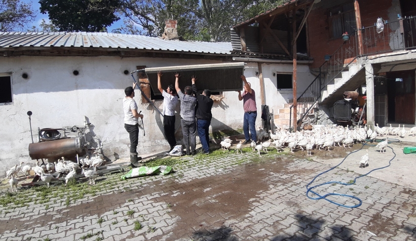 3 bin adet hindi yanmaktan son anda kurtuldu!