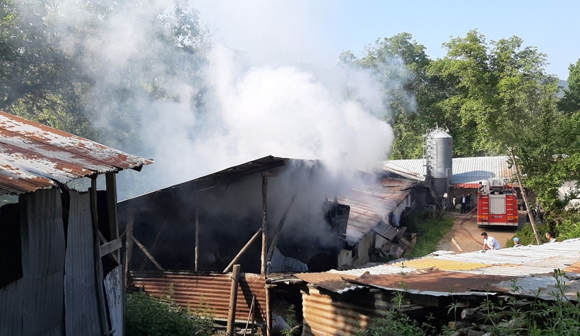 3 bin adet hindi yanmaktan son anda kurtuldu!