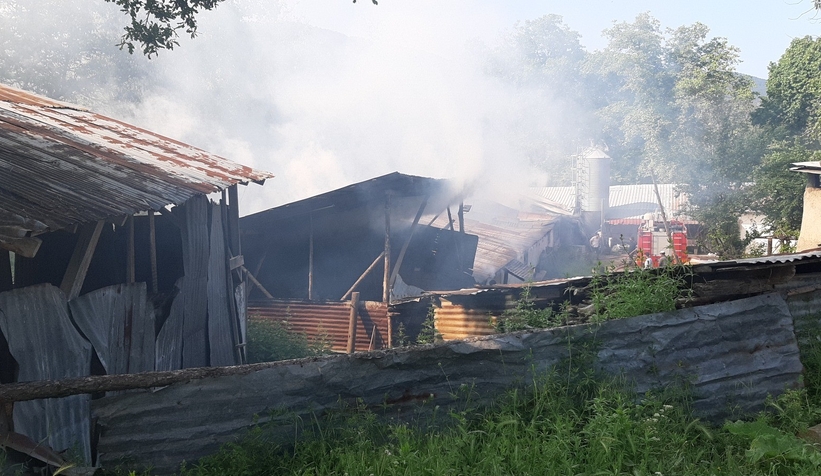 3 bin adet hindi yanmaktan son anda kurtuldu!