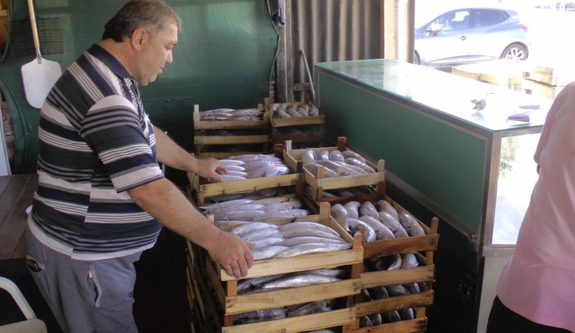 3 bin kasa palamut çıktı